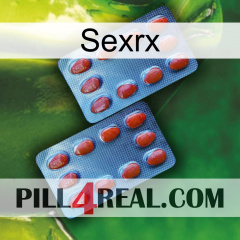 Sexrx 05